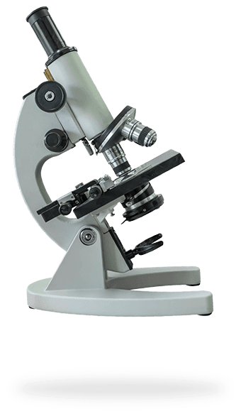 Microscope